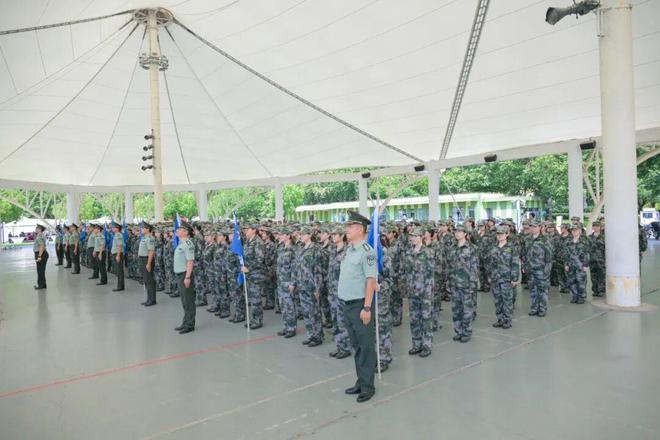 迷彩青春淬炼成钢！上