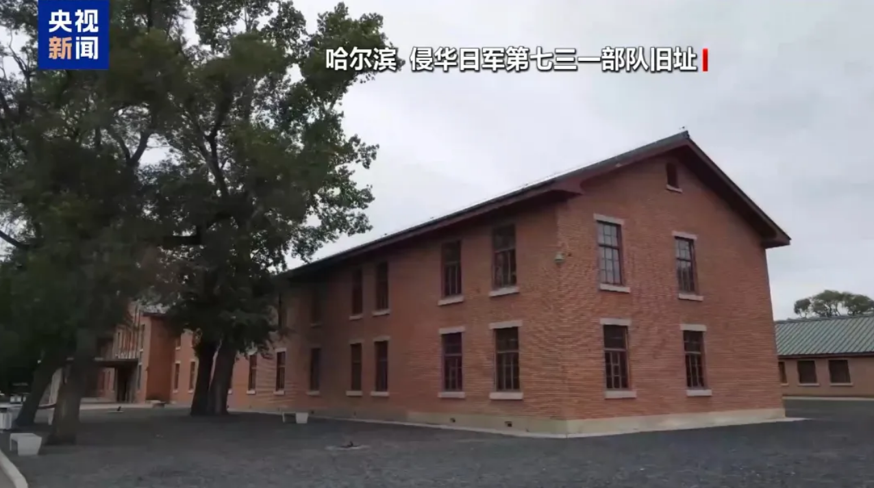 《731》将在全球多